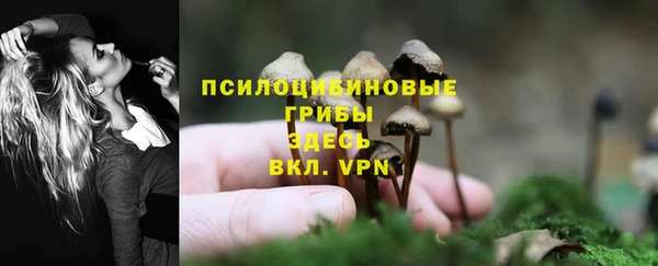 дмт Алексеевка