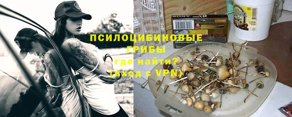 дмт Алексеевка